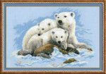 (image for) Polar Bears